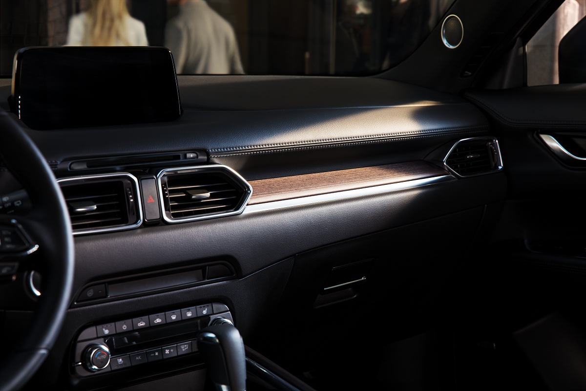 CX 5 18CY NEW GER C7 INT DECOPANE